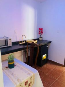 - une cuisine avec un comptoir, un évier et une table dans l'établissement Hotel Boutique Casona Mashei, à Tasquillo