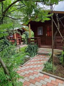Zahrada ubytování Casa Jan B. + 10 fotografií