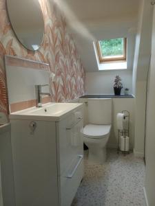 a bathroom with a toilet and a sink and a mirror at L'ÉCHAPPÉE BELLE in Capdenac-Gare