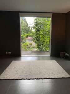 an empty room with a large window and a rug at Style Meets Location in Göteborg in Gothenburg