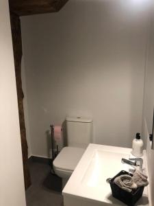 a bathroom with a white toilet and a sink at Apartamento centro Santander A in Santander