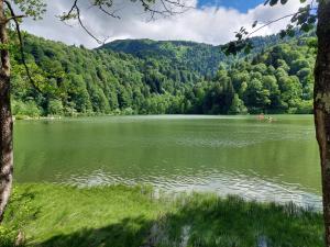 a large lake in the middle of a forest at Adas bungalov Dag Evi in Aralık