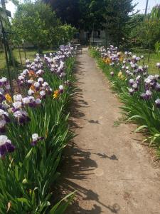 a path lined with flowers in a park at L'ÉCHAPPÉE BELLE in Capdenac-Gare +7 photos