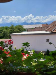 ein weißes Gebäude mit Blumen im Vordergrund in der Unterkunft Casa Cristina in Cîrţişoara