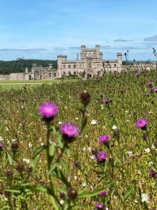 a field of purple flowers in front of a castle at Idillic Two bed country cottage in Kirkby Thore