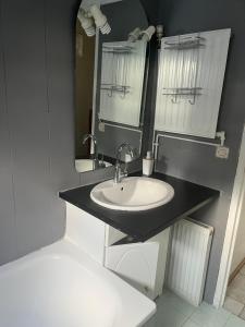 een badkamer met een wastafel en een spiegel bij CHAMBRE FamilIale in Nandy
