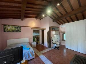 a bedroom with a bed and a desk in a room at Appartamento Patina di sotto in LʼOpaco