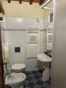 a bathroom with a toilet and a sink at Appartamento Patina di sotto in LʼOpaco +8 photos