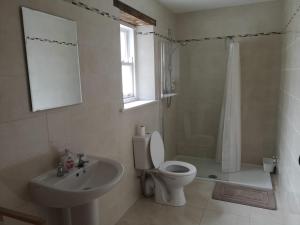 a bathroom with a toilet and a sink and a shower at Lovely 3-Bed House at Clashganny Mill Borris in Carlow