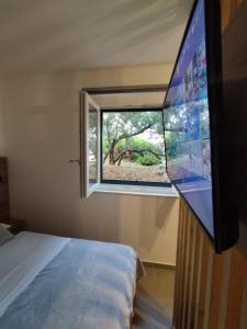 Televízia a/alebo spoločenská miestnosť v ubytovaní Apartmani Sladić