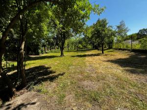 a field of grass with trees in the background at Týpí v srdci Vysočiny in Golčŭv Jeníkov