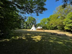 Příroda nedaleko luxury tent
