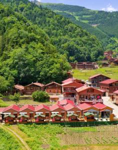 een klein dorp met rode daken op een heuvel bij Çakıroğlu Villa Kent in Uzungol