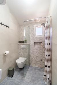 a bathroom with a toilet and a glass shower at Villa Maria Škrip in Škrip