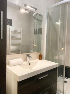 a bathroom with a sink and a mirror at Appartement Les 7 Roses in Vitry-le-François