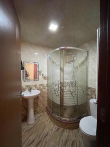 a bathroom with a shower and a toilet and a sink at Lux Palace Hotel in Kutaisi