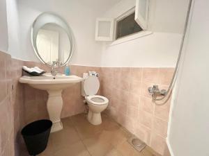 ein Badezimmer mit einem Waschbecken, einem WC und einem Spiegel in der Unterkunft The Greenhouse in Kairo