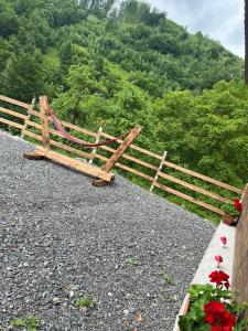 Imagen de la galería de Cabana Muntelui, en Munteni