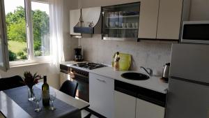 Küche/Küchenzeile in der Unterkunft Gianna Apartment Labin