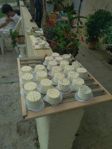 a display of white cakes on a table at sasu eco nature in Vendays-Montalivet