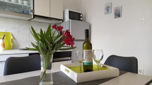 Küche/Küchenzeile in der Unterkunft Gianna Apartment Labin