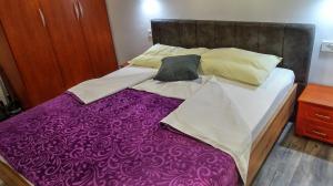 Postel nebo postele na pokoji v ubytování Apartment Daca