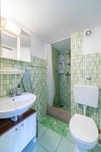 a bathroom with a sink and a toilet and a shower at Villa Maria Škrip in Škrip +26 photos