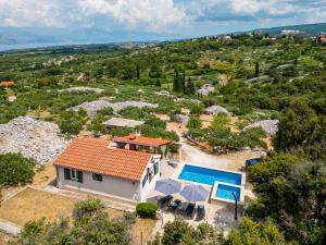 een luchtzicht op een huis met een zwembad bij Villa Maria Škrip in Škrip