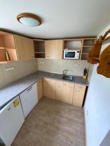 Kuchyň nebo kuchyňský kout v ubytování Apartmán Dobrá mysl