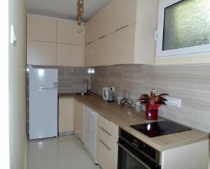 a kitchen with a white refrigerator and a sink at Apartman Rijeka Crnojevica in Rijeka Crnojevića