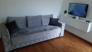 a living room with a couch and a tv at Apartman Reina in Soko Banja