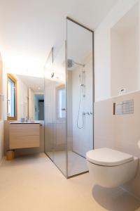 uma casa de banho com uma cabina de duche em vidro e um WC. em Seehaus SeeZeit - Am Hafen em Neusiedl am See