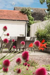 a group of flowers in a garden with chairs at Lovely Bungalow Close to Beach in Prestatyn