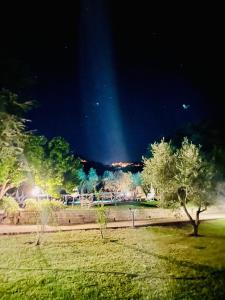 Zahrada ubytování Agriturismo Podere Valdo