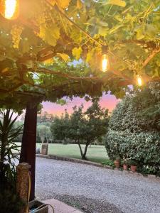 Zahrada ubytování Agriturismo Podere Valdo