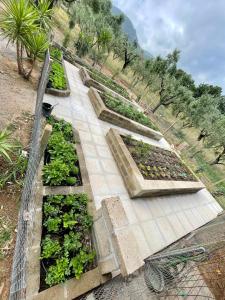 Zahrada ubytování Agriturismo Podere Valdo