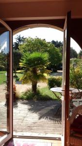 an open door to a patio with a palm tree at Penty au Ménec in Carnac