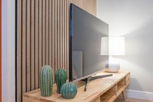 une télévision assise sur une table en bois avec un cactus dans l'établissement Bel appartement idéalement situé, à Orléans