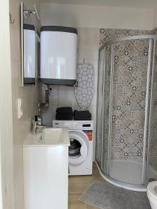 ein Badezimmer mit einem Waschbecken und einer Waschmaschine in der Unterkunft Comfortable apartments under the St. Barbara´s Cathedral in Kutná Hora