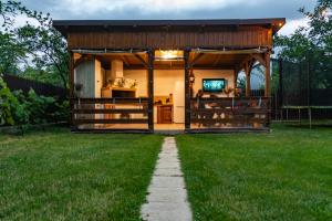 a small house with a television in a yard at Casa lui Matei Murighiol in Murighiol