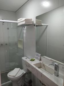 a bathroom with a toilet and a sink and a mirror at Pousada Serrano in Campos do Jordão
