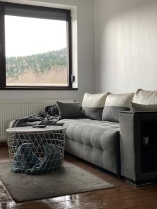 uma sala de estar com um sofá e uma janela em Anais Residence with Parking Garage Sinaia em Sinaia