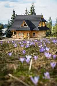 una cabaña de madera con flores púrpuras delante de ella en Obrochtowa Chata en Kościelisko