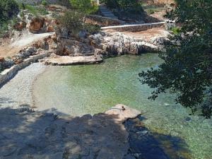 un cuerpo de agua con rocas y una playa en Mala Basina -Maslina, en Vrbanj