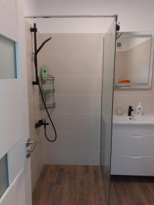 a bathroom with a shower and a sink at Casa Dana in Sibiu