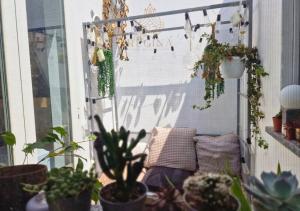 a balcony filled with potted plants and a window at Regina Milano in Porta Romana 1 in Milan