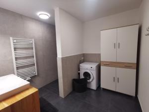 een badkamer met een wasmachine, een wasmachine en een droger bij Appartement Lackner in Filzmoos
