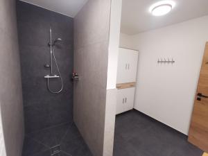 a bathroom with a shower and a walk in shower at Appartement Lackner in Filzmoos +17 photos