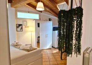 um quarto com uma cama e uma planta em Regina Milano in Porta Romana 1 em Milão
