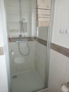 a shower with a glass door in a bathroom at Lausitzer Auszeit in Laubusch